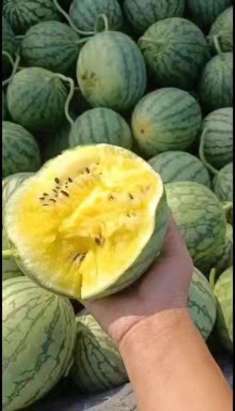 退伍老兵诚信经营，大批量上市，需要可以联系