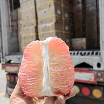 翡翠柚红心柚金柚产地直发一手货源甜度高可发全国各地