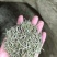 中药材迷迭香迷迭香茶新货无硫迷失香养现货批发
