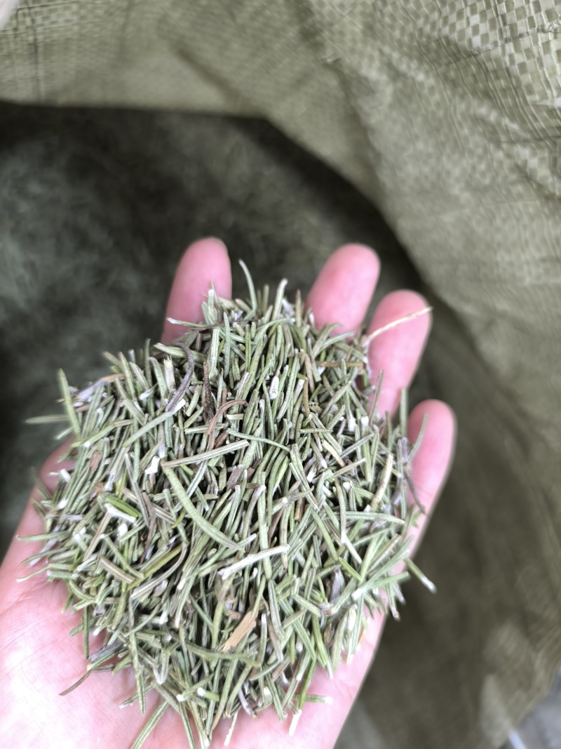 中药材迷迭香迷迭香茶新货无硫迷失香养现货批发