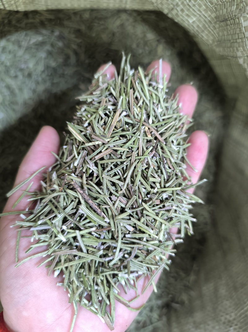 中药材迷迭香迷迭香茶新货无硫迷失香养现货批发