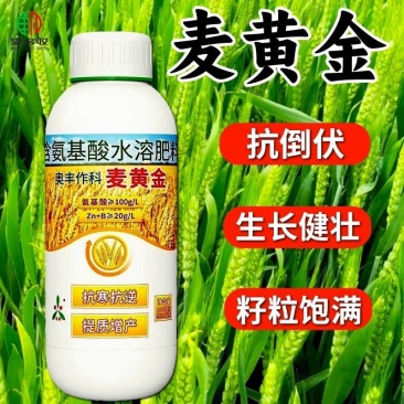 奥丰麦黄金叶面肥提质增产望多收麦稻饱叶面肥农用肥