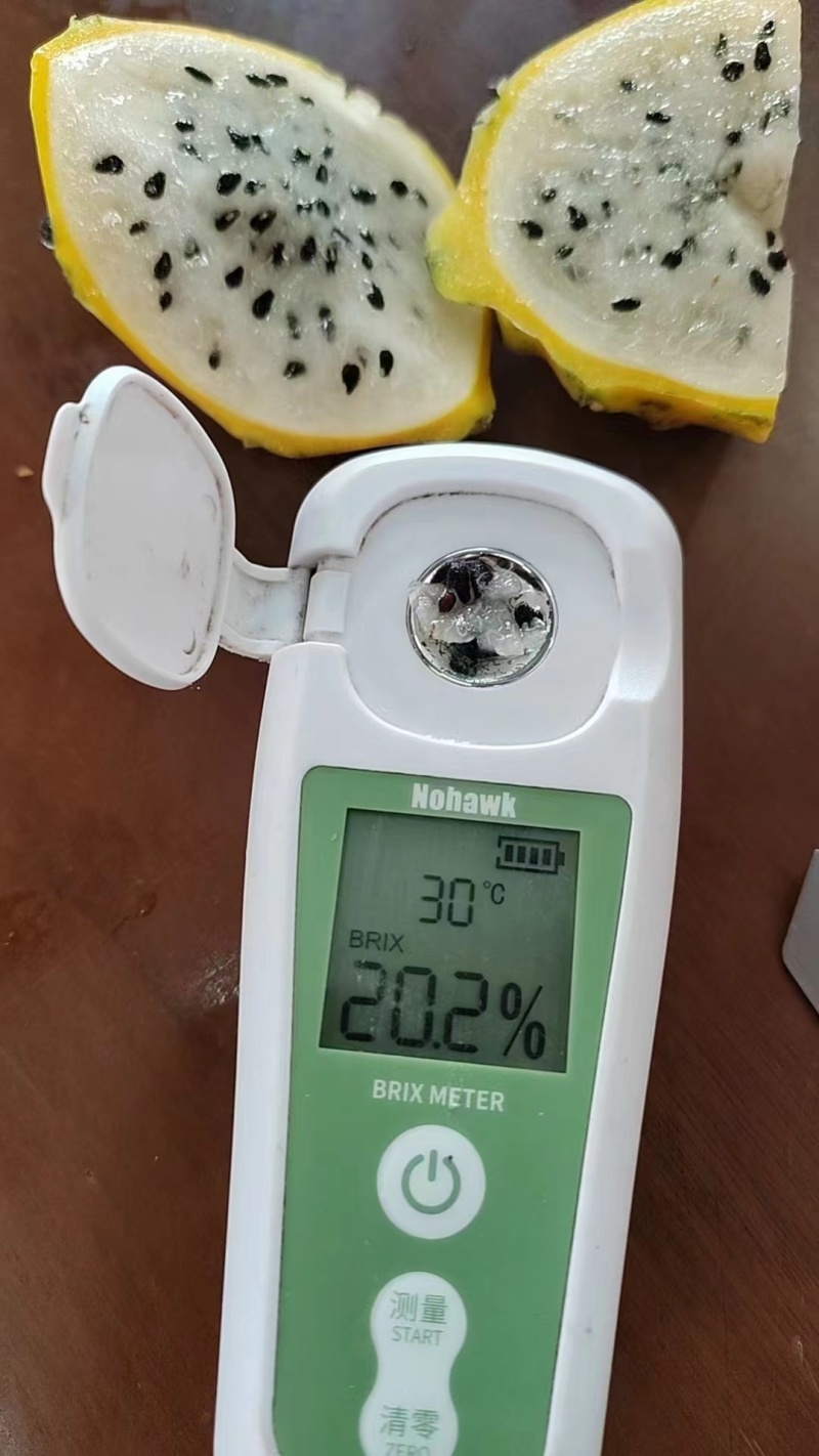 燕窝果麒麟果应季孕妇甜水果黄皮白心火龙果热带新鲜罕见水果