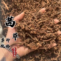 茜草纯根茜草实拍正品茜草发货如图过筛货