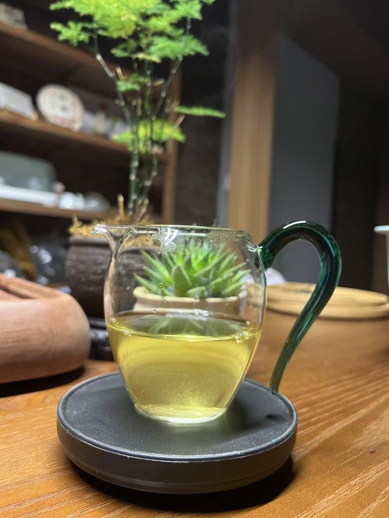 24年忙肺古树春