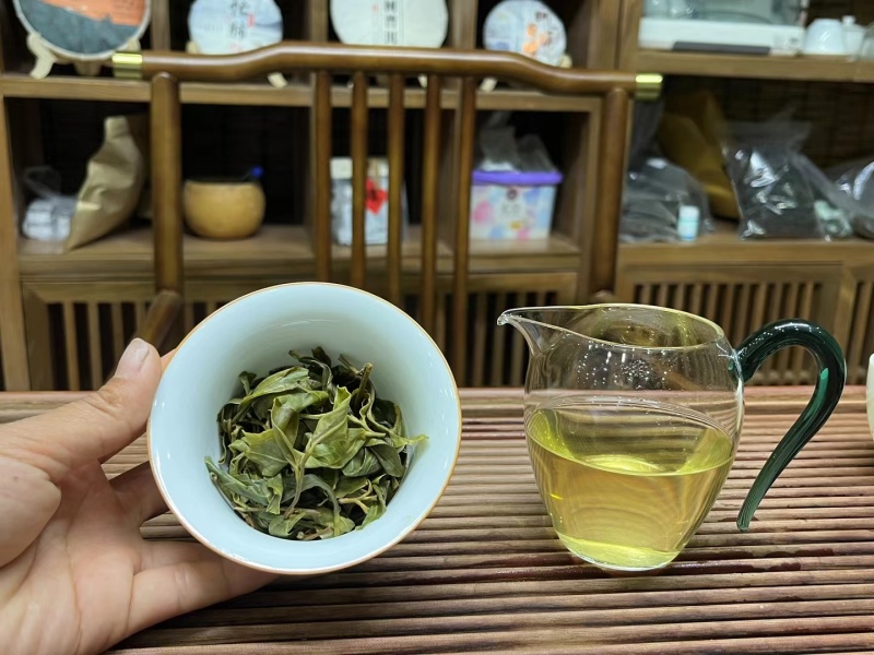 24年忙肺古树春