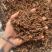 茜草纯根茜草实拍正品茜草发货如图过筛货