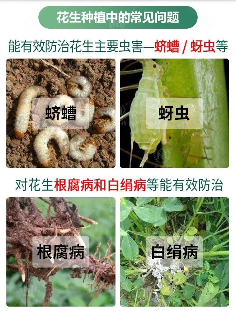 花生拌种剂花生防虫防病增产花生专用拌种剂