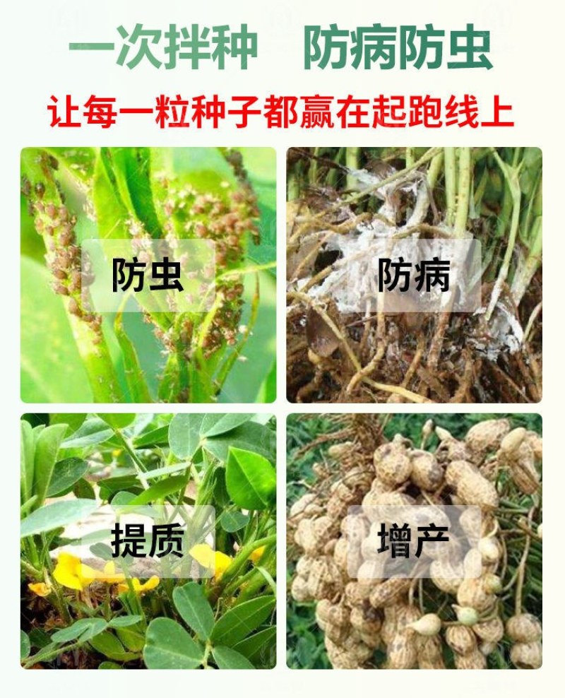 花生拌种剂花生防虫防病增产花生专用拌种剂