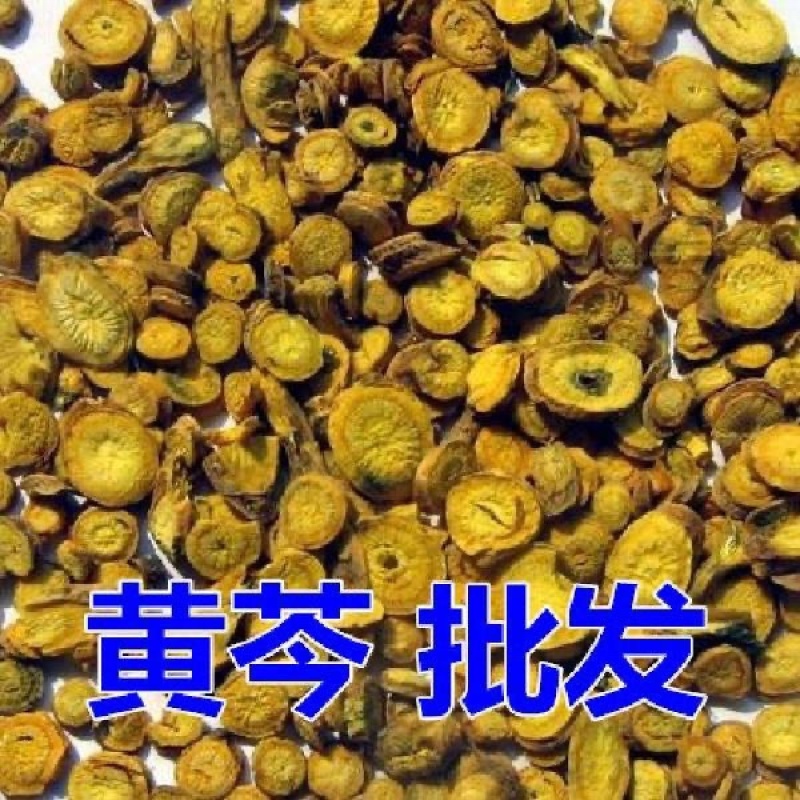 中药材黄芩黄芩煲汤料黄芩茶甘肃黄芩正品无硫黄芩