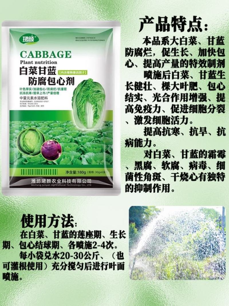 寿光珺颜白菜甘蓝防腐包心剂加速包心抗冻抗寒提早上市水溶肥