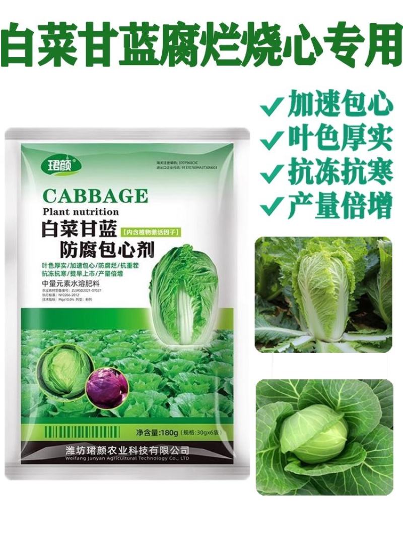 寿光珺颜白菜甘蓝防腐包心剂加速包心抗冻抗寒提早上市水溶肥