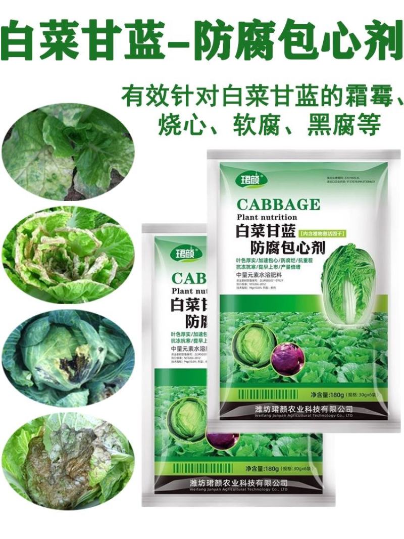 寿光珺颜白菜甘蓝防腐包心剂加速包心抗冻抗寒提早上市水溶肥