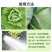 寿光珺颜白菜甘蓝防腐包心剂加速包心抗冻抗寒提早上市水溶肥
