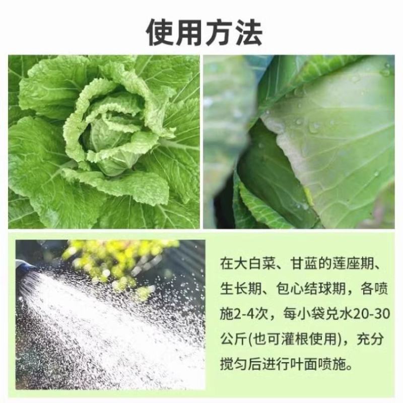 寿光珺颜白菜甘蓝防腐包心剂加速包心抗冻抗寒提早上市水溶肥