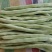 九粒白芸豆四季豆白不老可视频看货品质保证