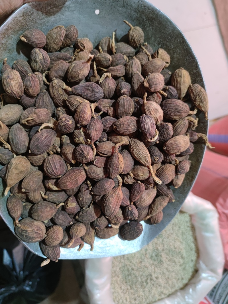 草果精选大个头足干草果火锅卤料餐饮