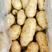 湖北土豆黄心土豆产地一手货源品质保证全国发货