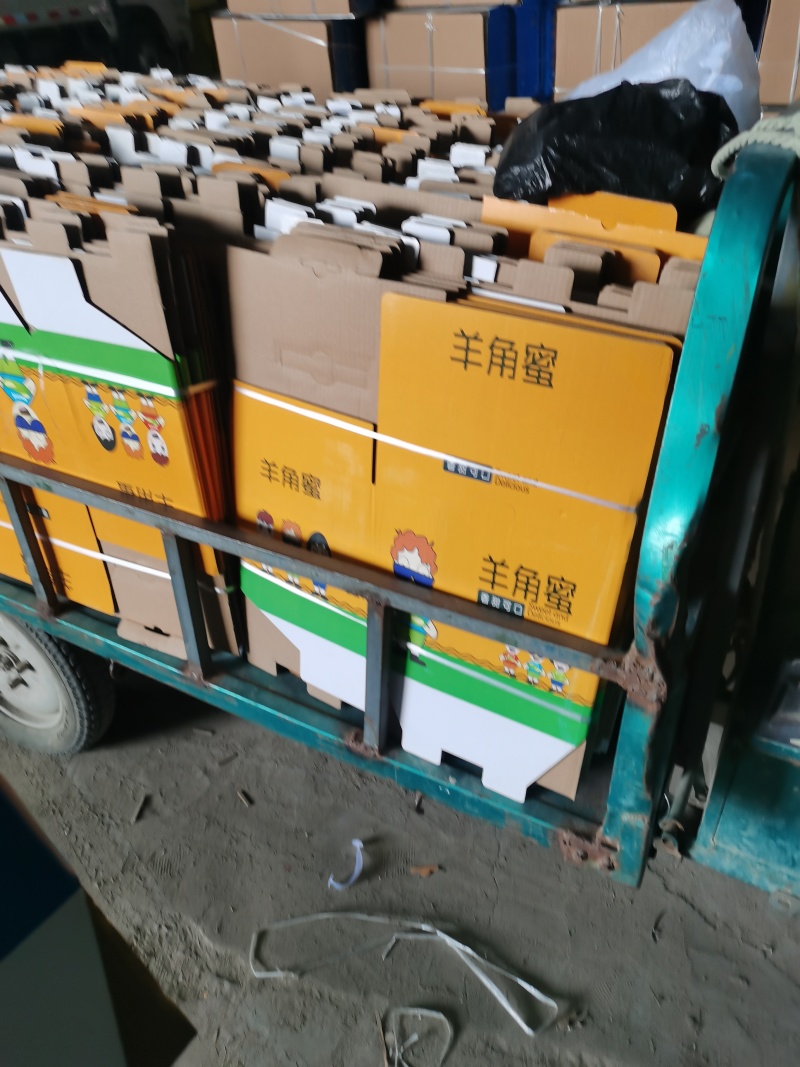春季羊角蜜甜瓜上市！对接各大电商超市批发商！一件代发