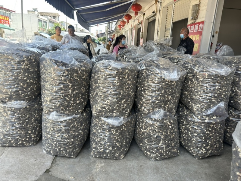 福建宁德食用菌干货羊肚菌，大量有货，欢迎咨询采购