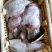 山东多宝鱼肉大量供货一手货源价格优惠欢迎致电联系