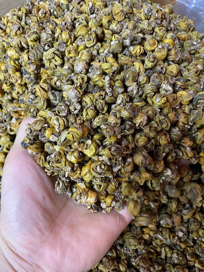 正宗野生岩珠石斛现图发货。质量保证货比三家