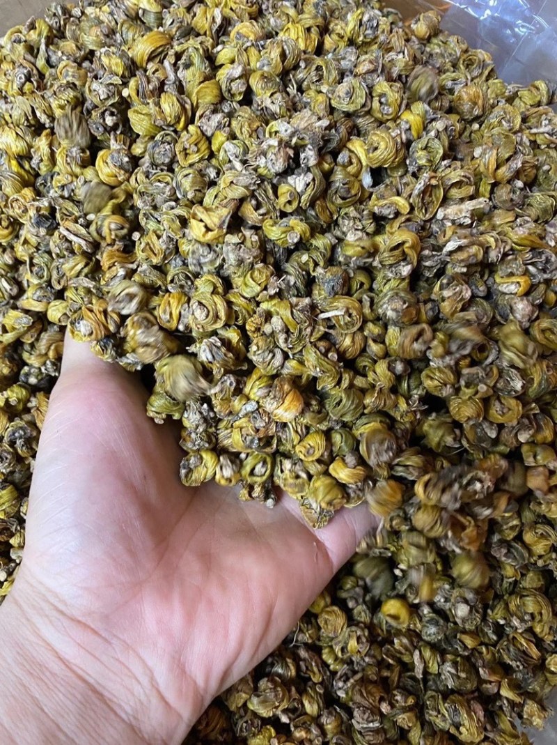 正宗野生岩珠石斛现图发货。质量保证货比三家