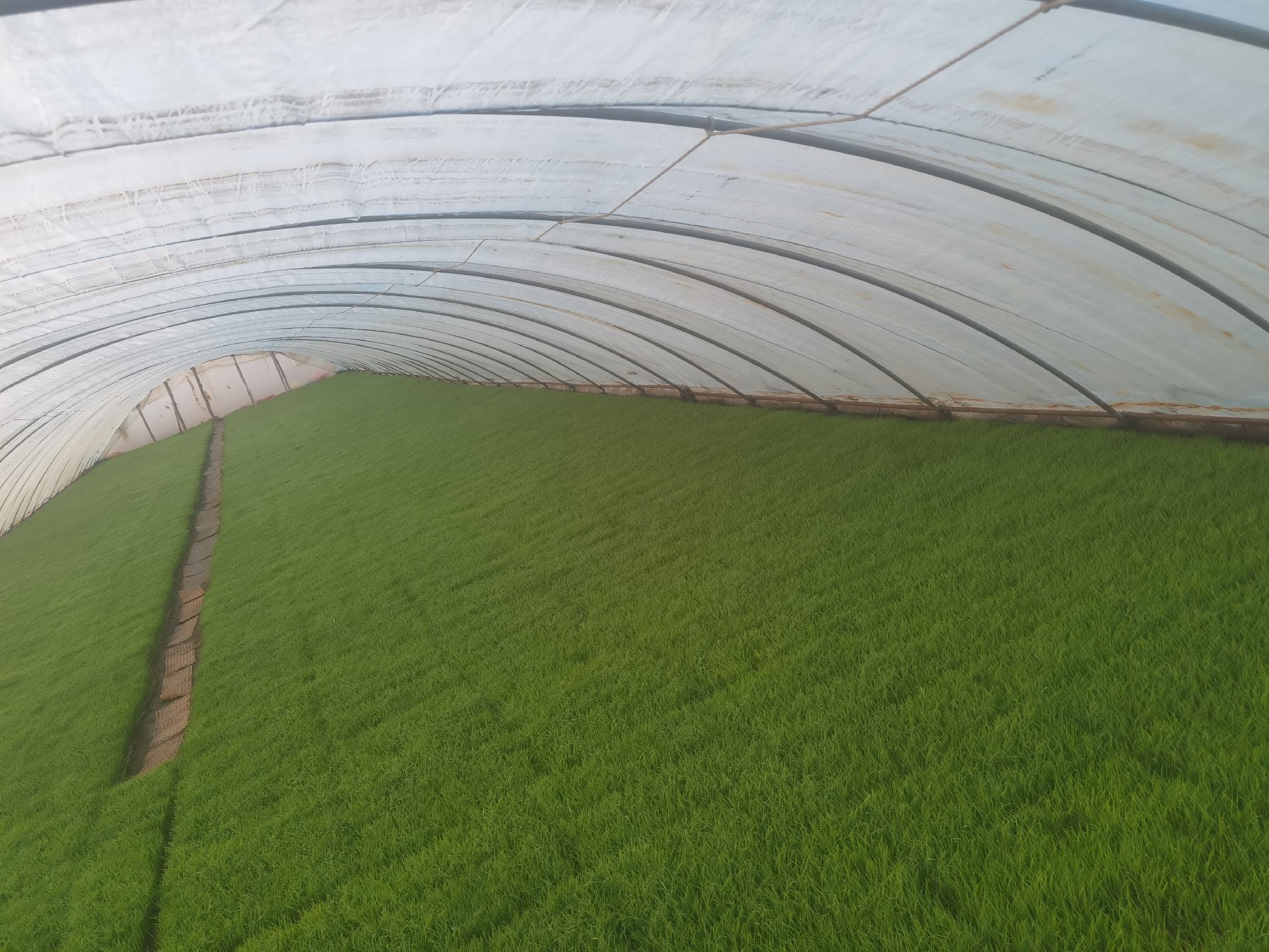 政策扶持下的现代农业示范基地