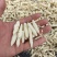 湖北优质纯无硫麦冬可煲汤泡茶入药产地直销批发零售视频看货