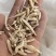 湖北优质纯无硫麦冬可煲汤泡茶入药产地直销批发零售视频看货