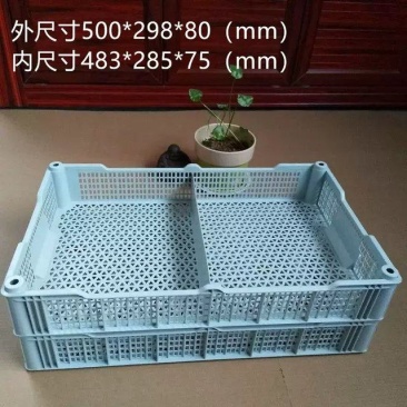 10斤装蓝莓隔断筐量大从优欢迎各位老板致电