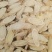 【黄芪】1000克1.3～1.5片指甲片量大从优