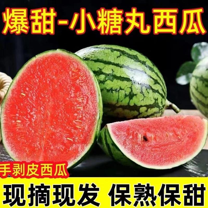 【现摘现发】安徽西瓜宿州小糖丸西瓜皮薄多汁口感甘甜