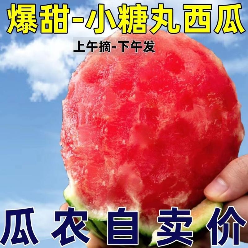 【现摘现发】安徽西瓜宿州小糖丸西瓜皮薄多汁口感甘甜