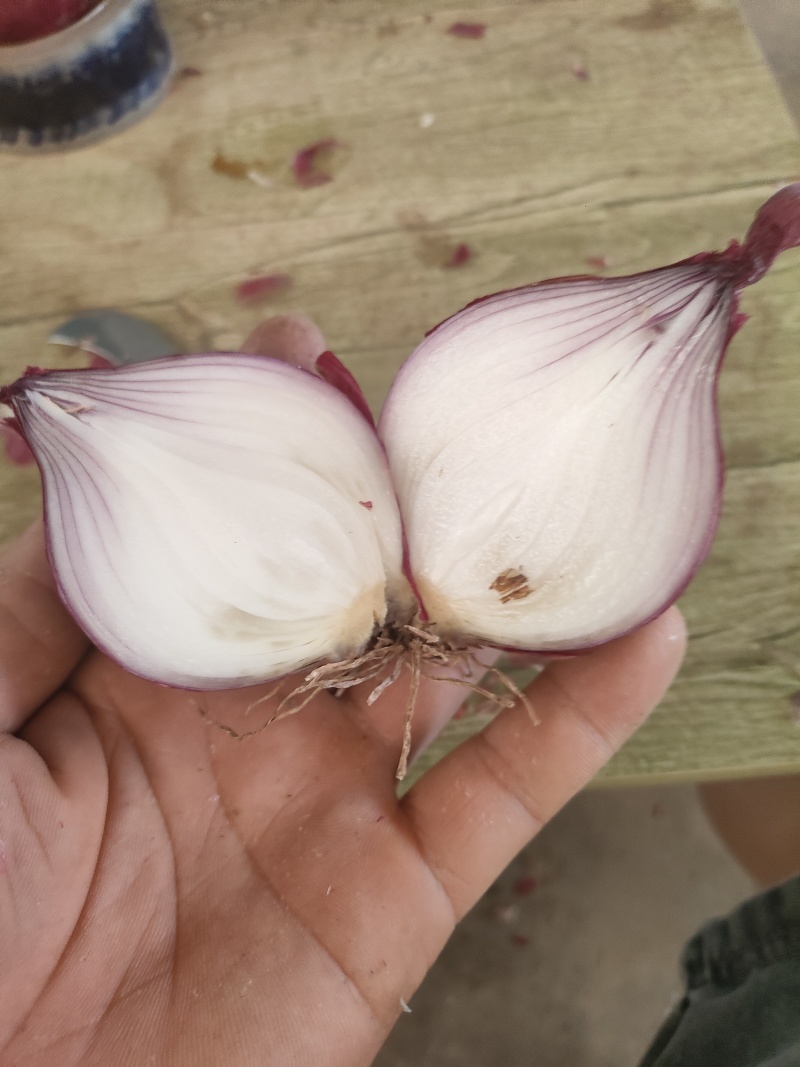 大量供应电商货食堂货加工厂