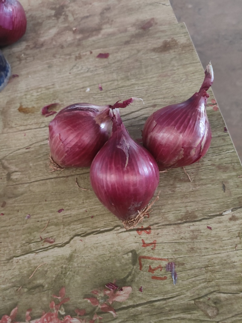 大量供应电商货食堂货加工厂