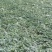 云南建水西瓜已大量上市，基地实拍看上的老板速联系！