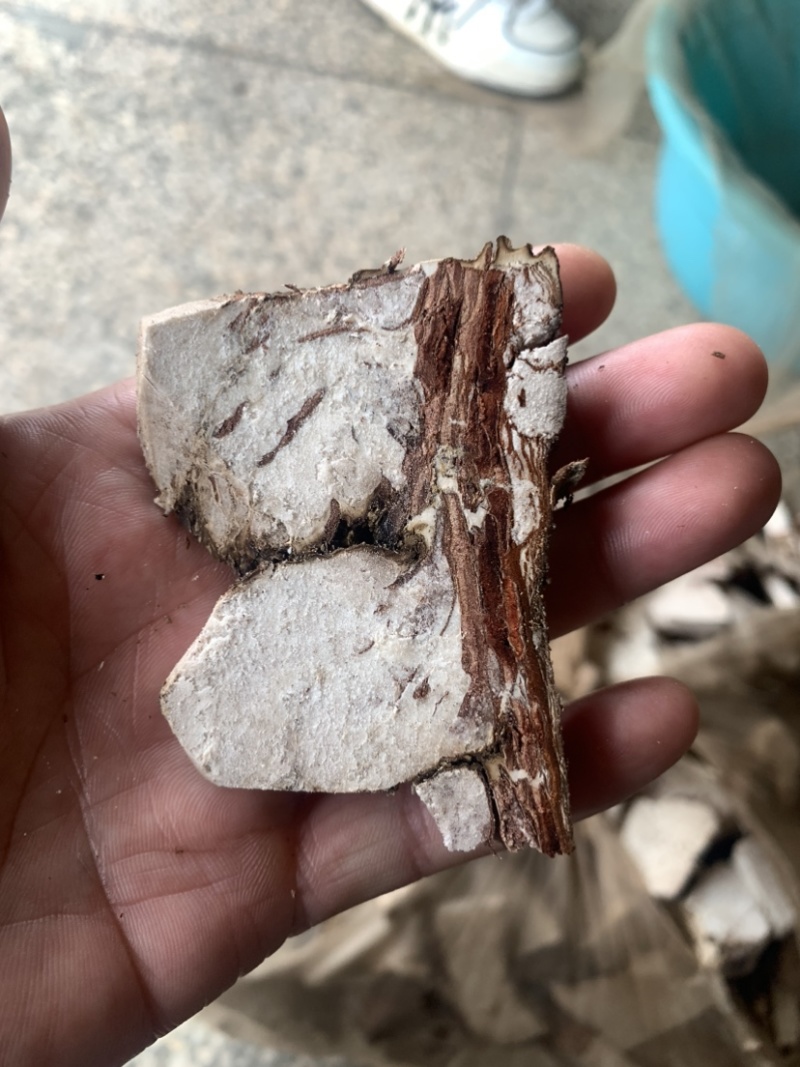 带皮茯苓块、鲜茯苓、中心丁、特心丁、夹木块