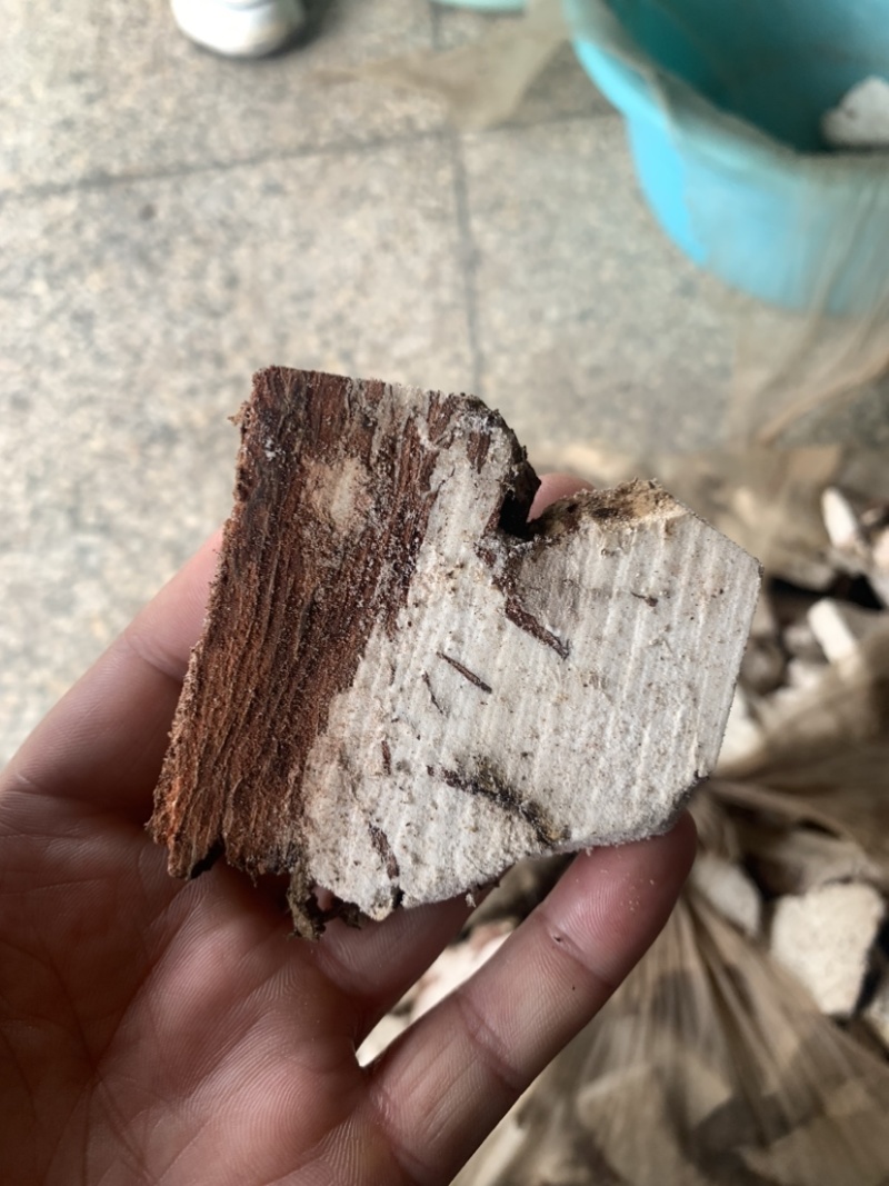 带皮茯苓块、鲜茯苓、中心丁、特心丁、夹木块