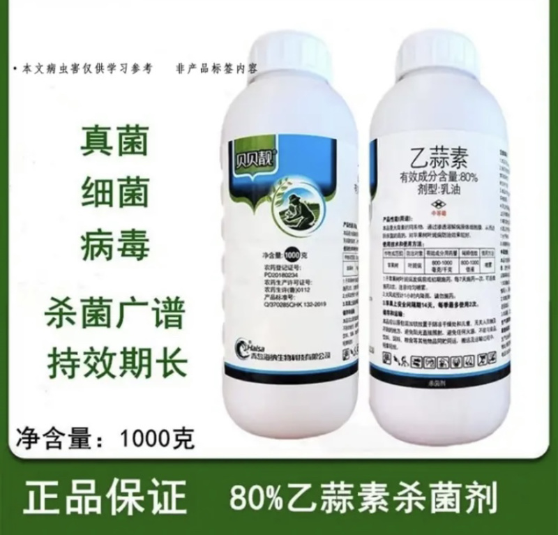 80%乙蒜素真菌细菌光谱杀菌剂青苔病根腐病溃疡病