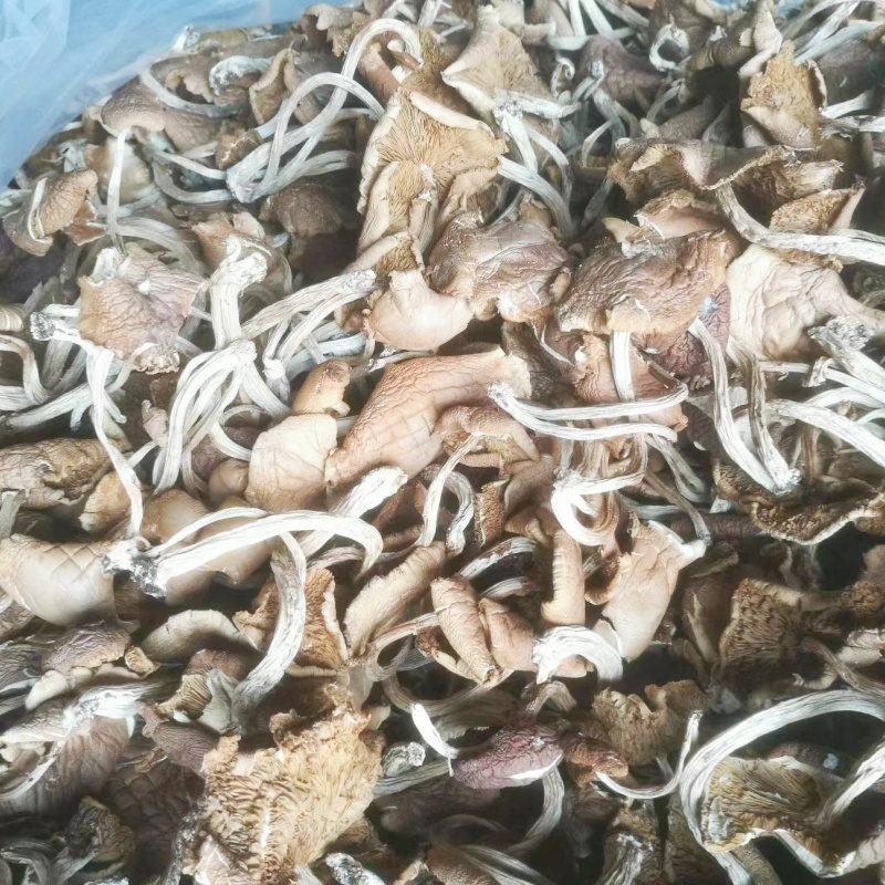 茶树菇干货广昌茶树菇开伞茶树菇炖汤鲜美食材