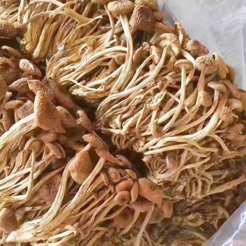 茶树菇干货广昌茶树菇开伞茶树菇炖汤鲜美食材