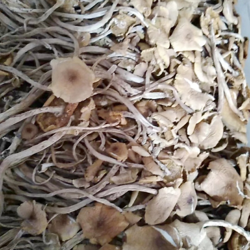 茶树菇干货广昌茶树菇开伞茶树菇炖汤鲜美食材
