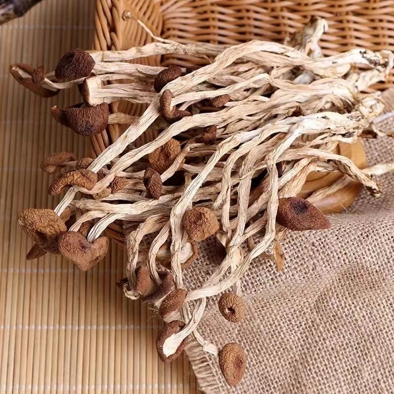 茶树菇干货广昌茶树菇开伞茶树菇炖汤鲜美食材