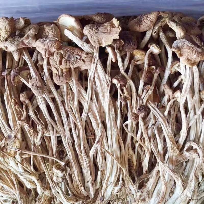 茶树菇干货广昌茶树菇开伞茶树菇炖汤鲜美食材