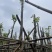 宫粉紫荆基地直销规格齐全欢迎老板来电咨询合作