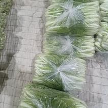 喀什周边蔬菜水果供应