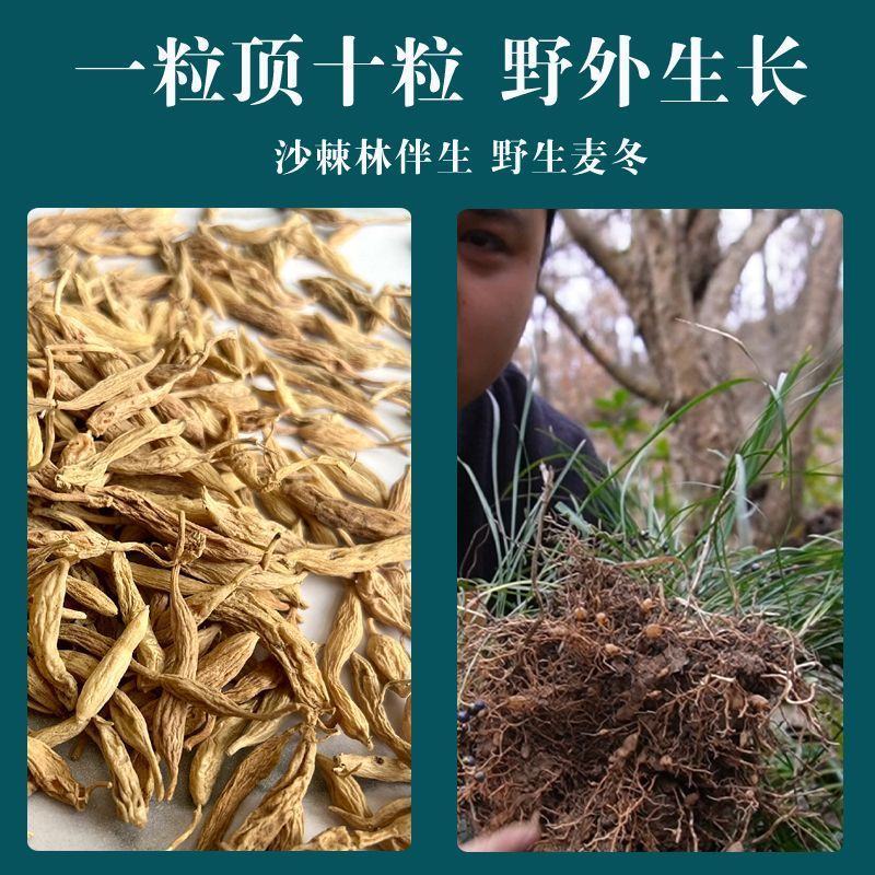【野生麦冬】甘肃野生麦冬无硫中药材野生麦冬包邮