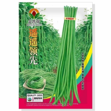 豇豆种子白花耐热品种，翠绿色条，种子品种，