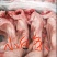 【优质商家】兔肉兔腿大量供货价格优惠欢迎致电联系